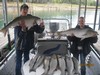 (10/13/2014) - Nice Striped Bass